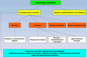 Что такое особые закупки по 44-ФЗ и что к ним относится